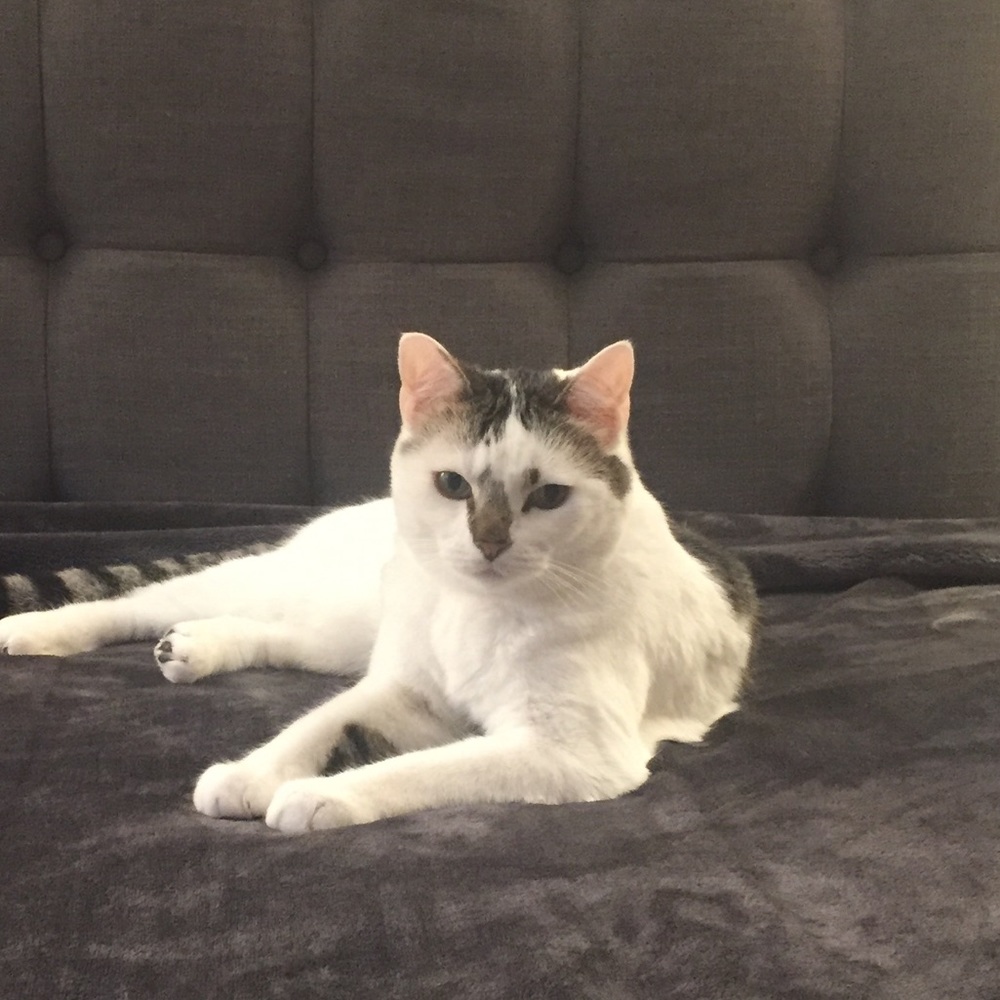 Meet your Posher, Anita